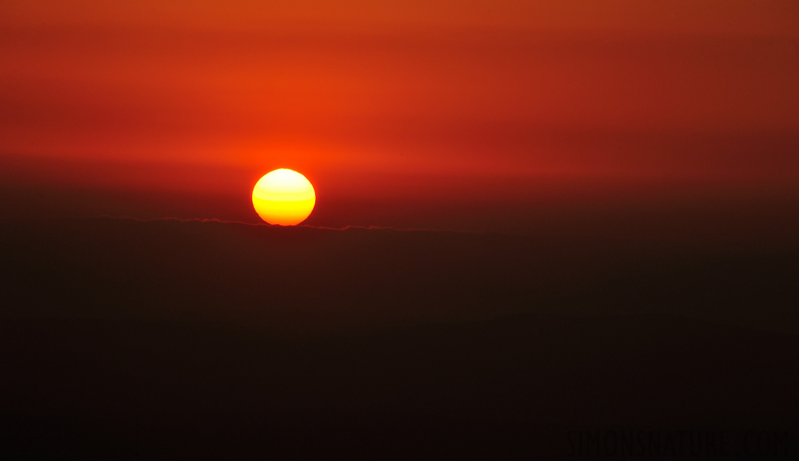 Pakamisa [300 mm, 1/400 Sek. bei f / 13, ISO 400]